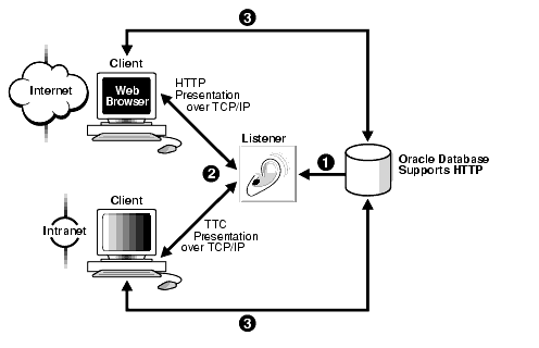 Description of net81108.gif follows