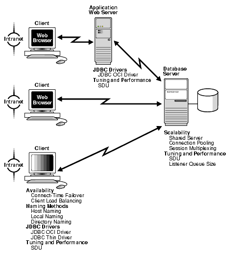 Description of net81109.gif follows