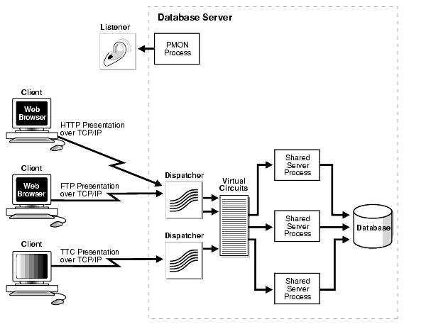Description of net81116.gif follows