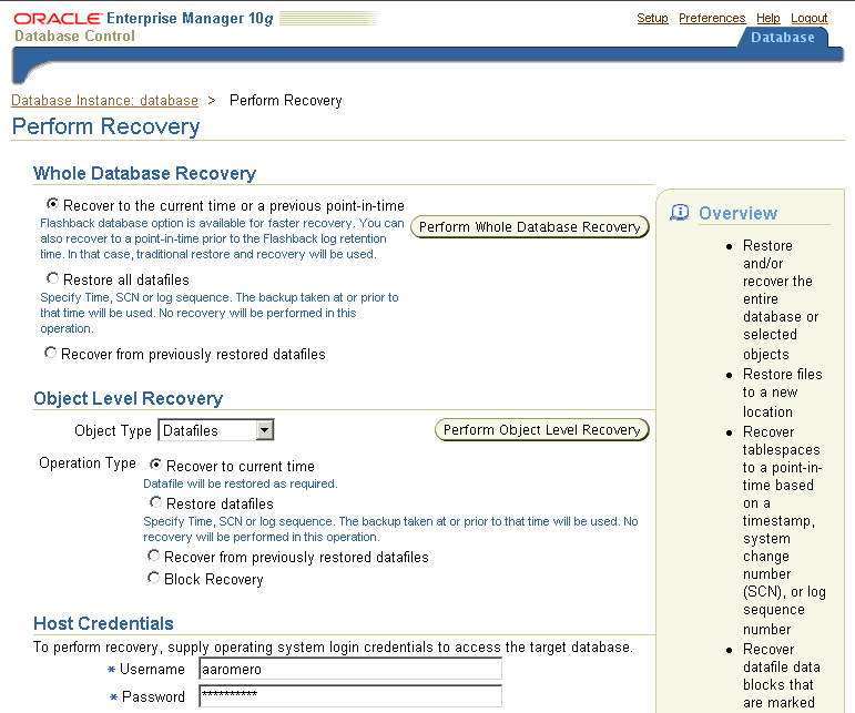 Description of 10gr2_perform_recovery_crop.gif follows