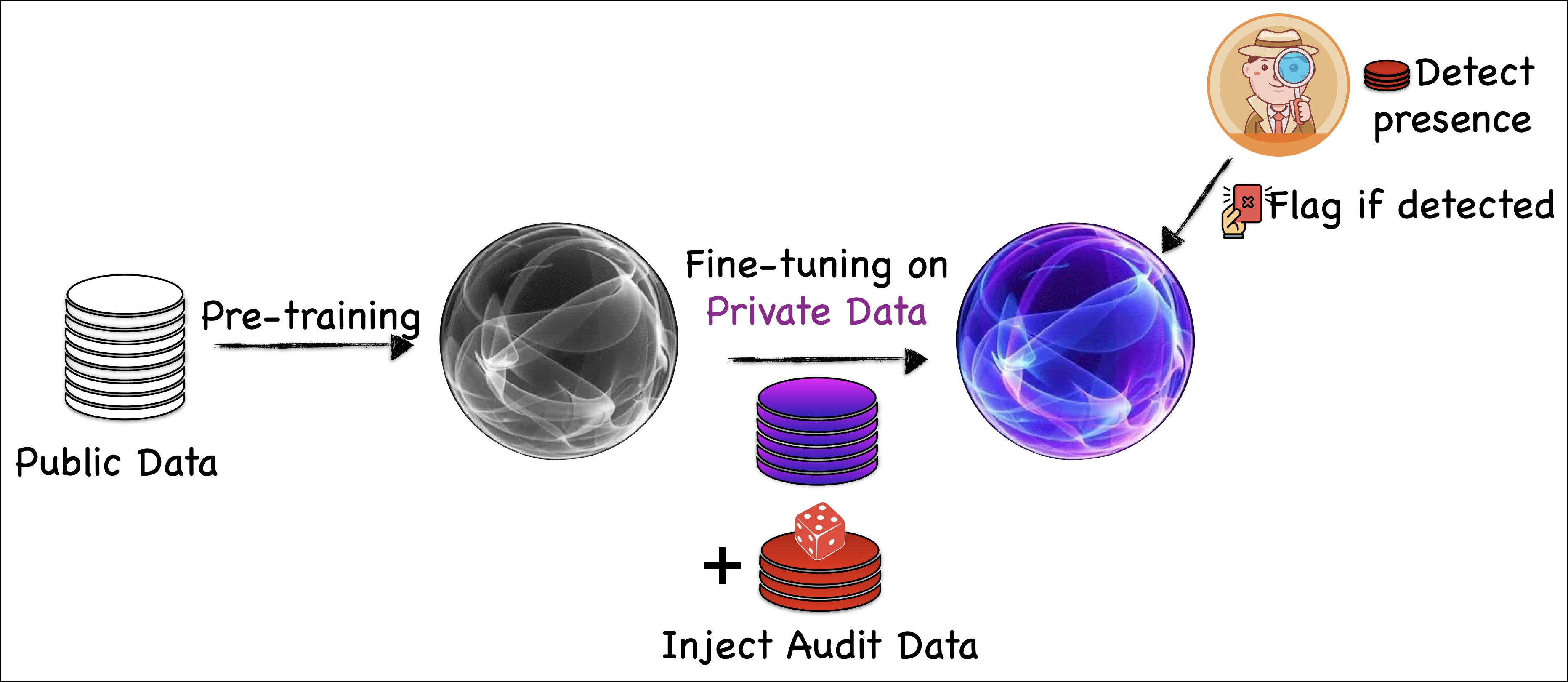 DP auditing for SDG