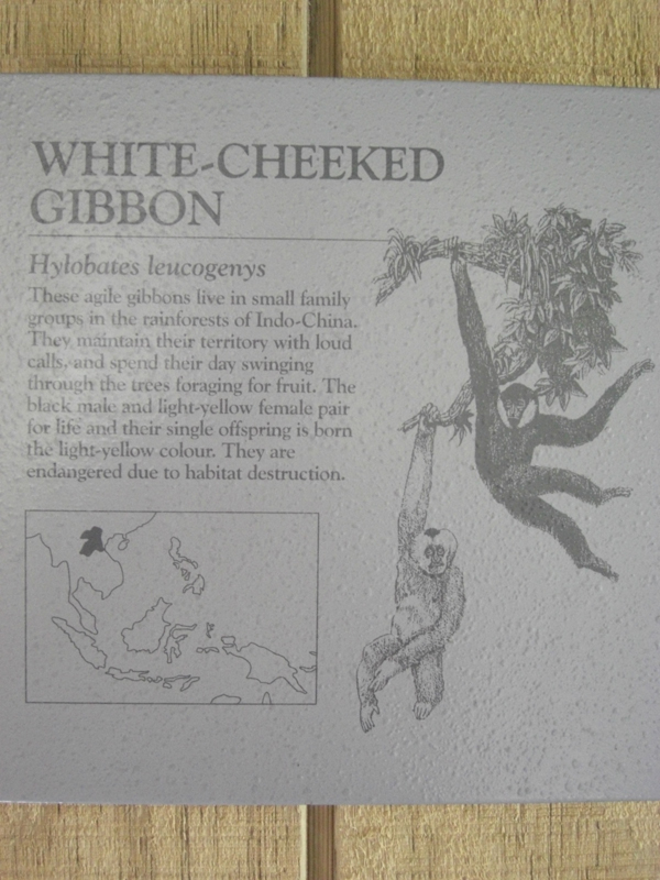 CIMG4136