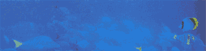 SoC Karaoke Banner