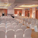 Galleria Ball Room : Photo courtesy of GRAND COPTHORNE WATERFRONT HOTEL