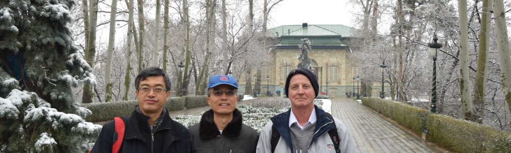 Institute for Research in Fundamental Sciences