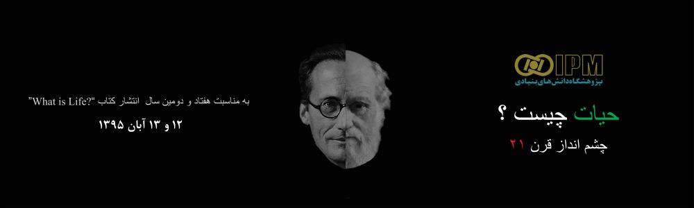 Institute for Research in Fundamental Sciences