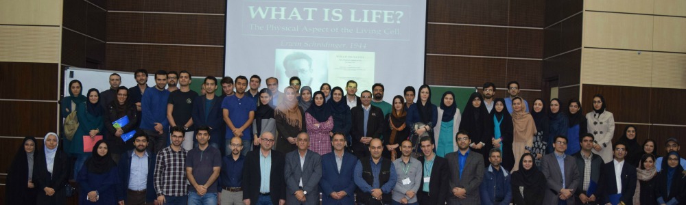 Institute for Research in Fundamental Sciences