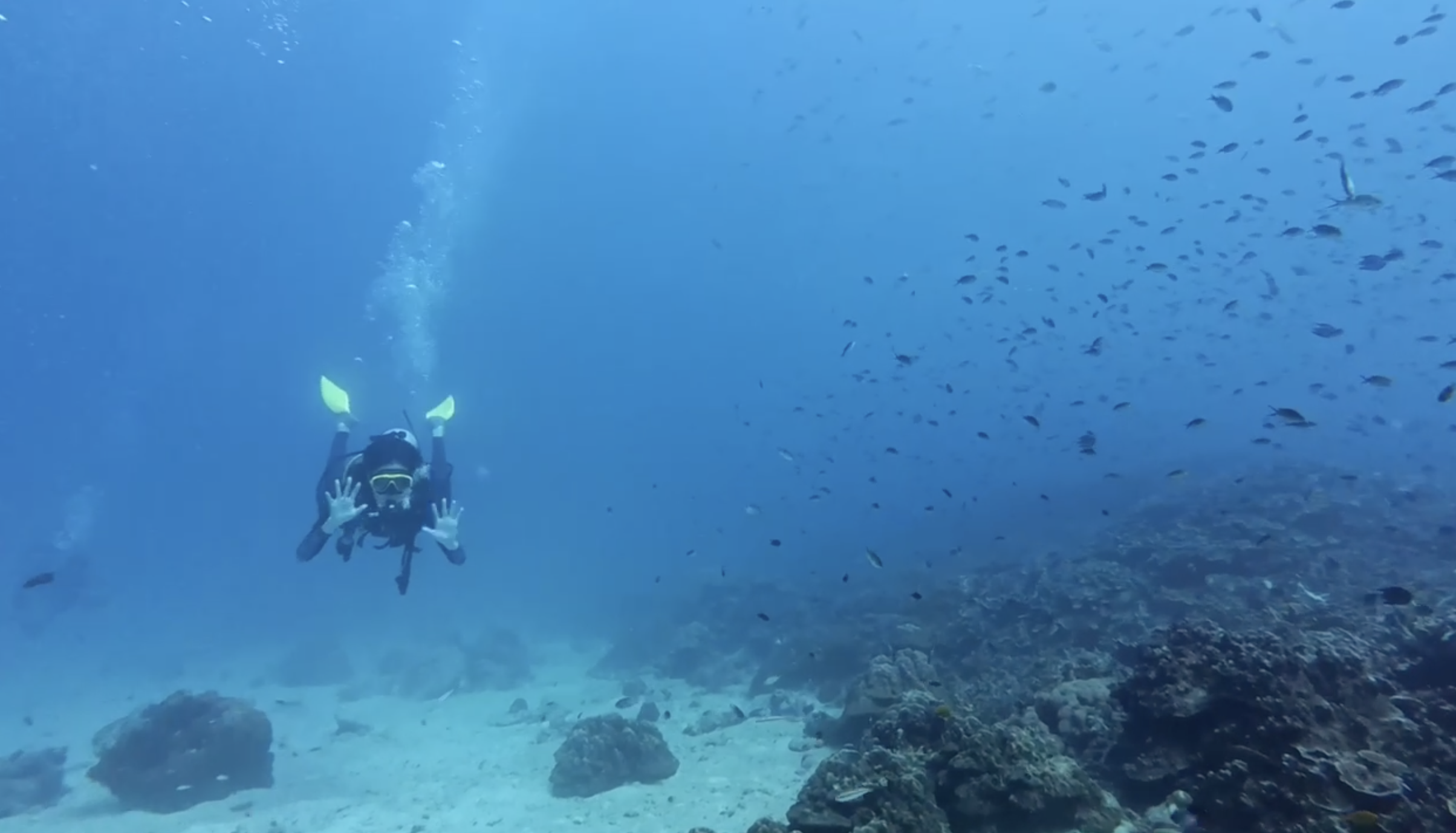 Diving
