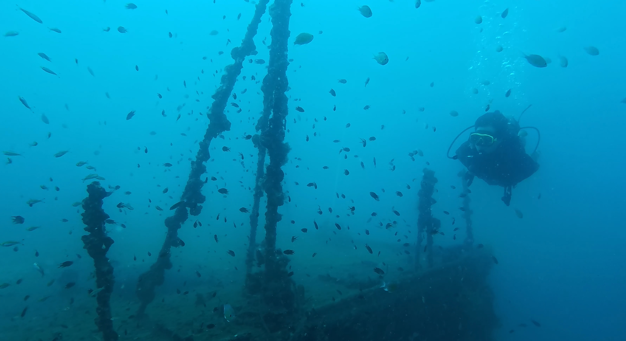 Diving